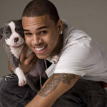 Chris Brown Net Worth