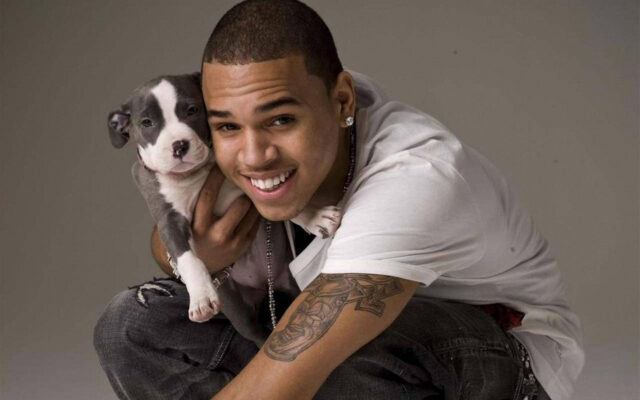 Chris Brown Net Worth