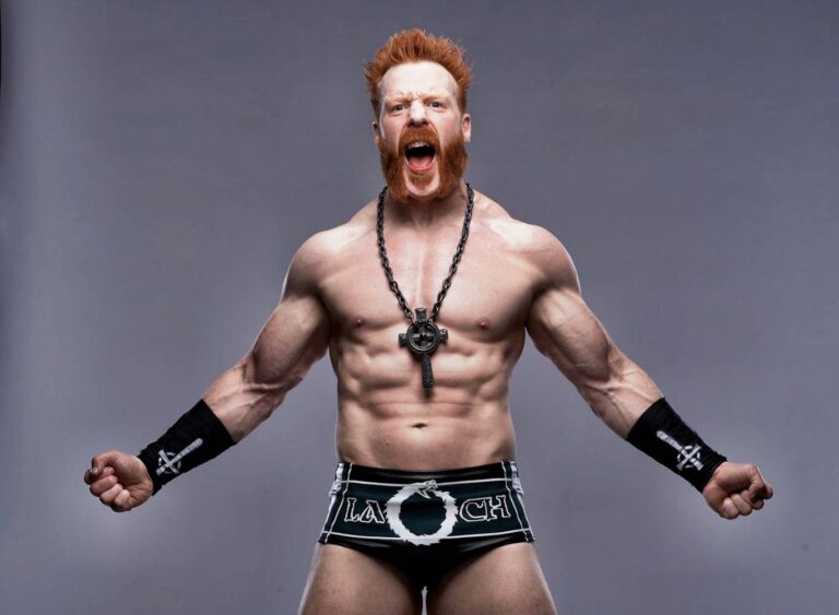 sheamus net worth