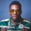 Soulja Boy Net Worth: Cranking Up Success in Music and Beyond